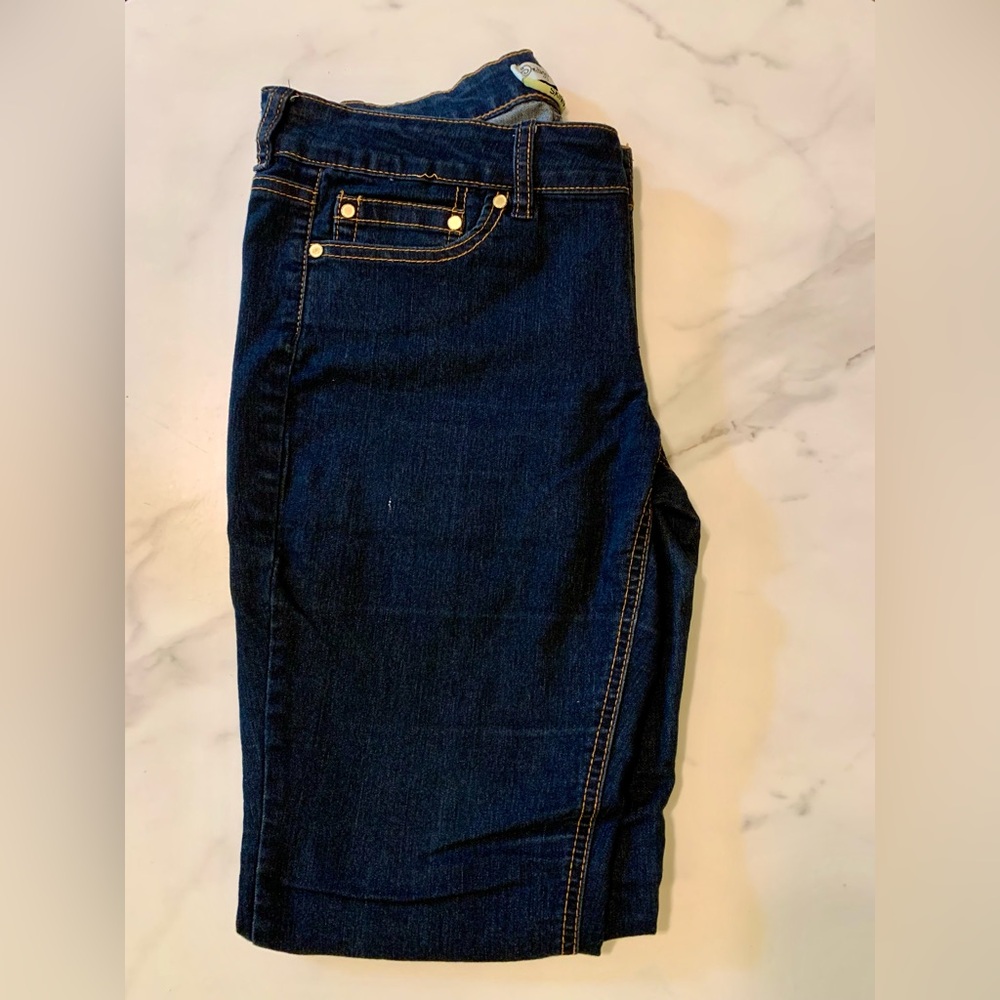 Indigo Rein Skinny Jeans